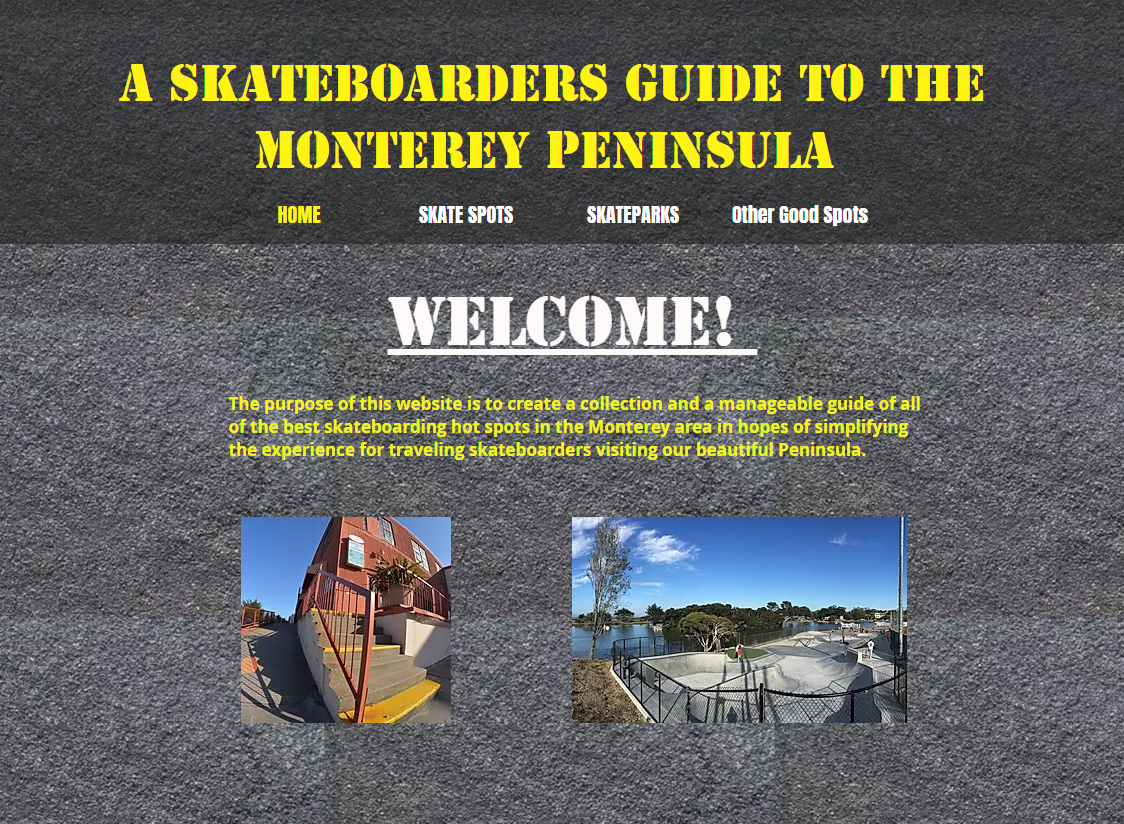 Skateboarder's Guide (Ben Short)